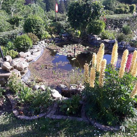 Studio Au Jardin Fleuri Verviers Esterno foto