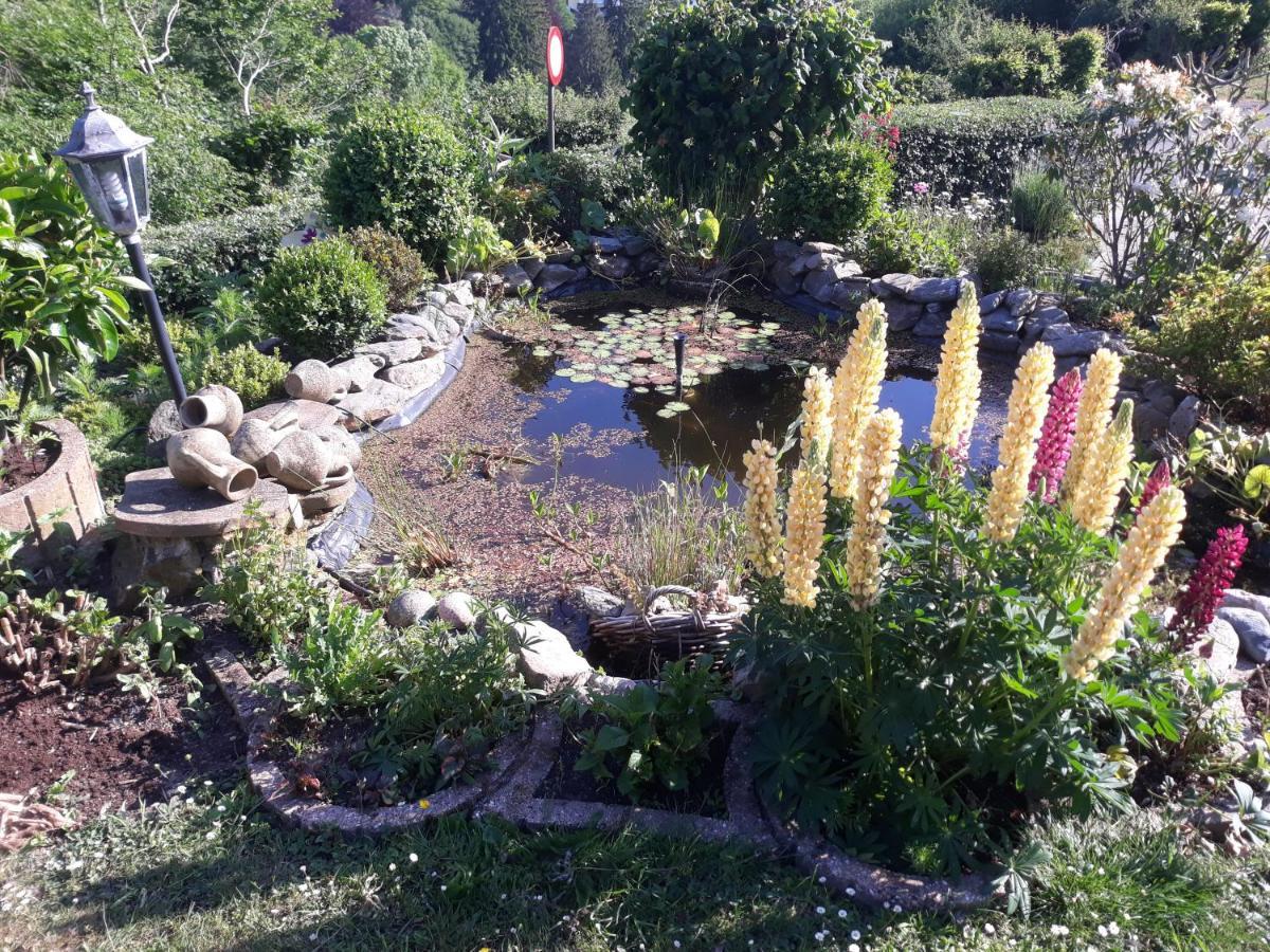 Studio Au Jardin Fleuri Verviers Esterno foto