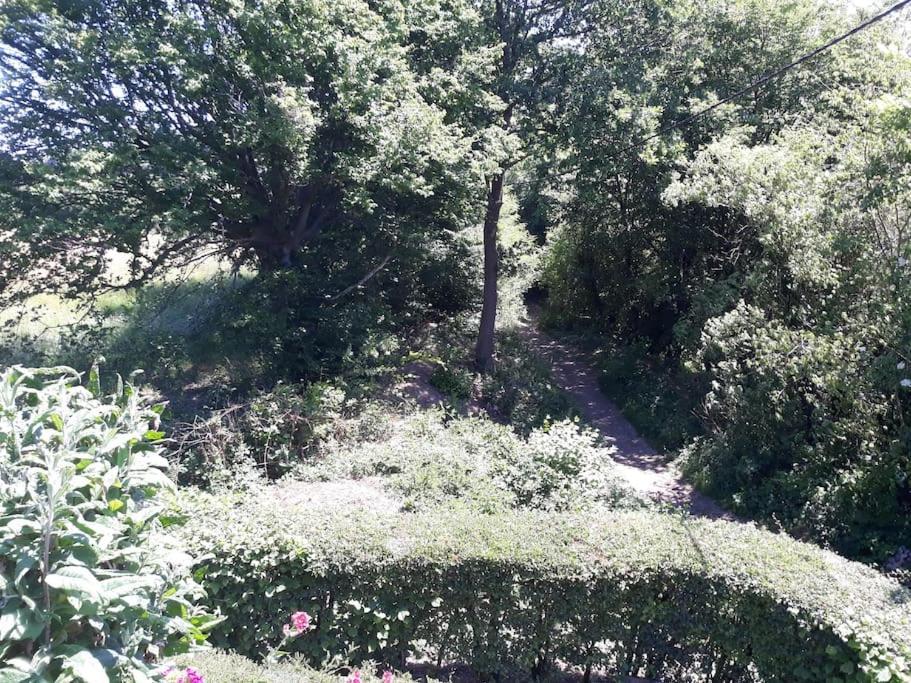 Studio Au Jardin Fleuri Verviers Esterno foto